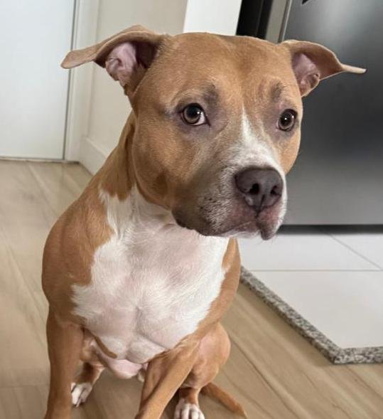 Foto de Mel
